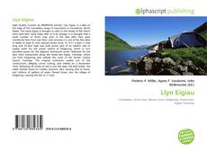 Bookcover of Llyn Eigiau