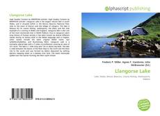 Portada del libro de Llangorse Lake