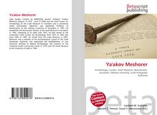 Copertina di Ya'akov Meshorer