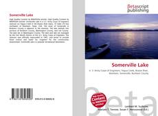 Capa do livro de Somerville Lake 
