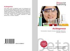 Copertina di Acidogenese