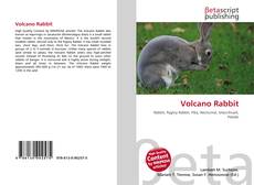 Buchcover von Volcano Rabbit