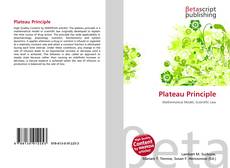 Capa do livro de Plateau Principle 