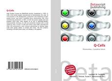 Buchcover von Q-Cells