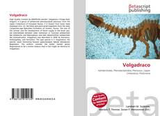 Volgadraco kitap kapağı