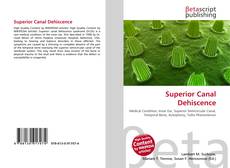 Buchcover von Superior Canal Dehiscence