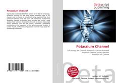 Copertina di Potassium Channel