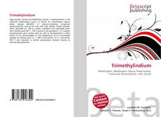 Buchcover von Trimethylindium