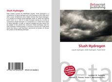 Copertina di Slush Hydrogen