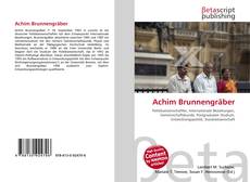 Achim Brunnengräber的封面