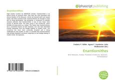 Buchcover von Enantiornithes