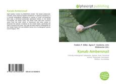 Kanab Ambersnail的封面
