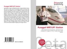 Punggol MRT/LRT Station的封面