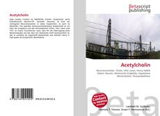 Acetylcholin kitap kapağı