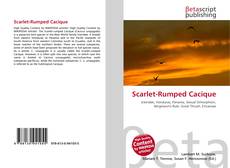Обложка Scarlet-Rumped Cacique