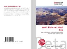 Wadi Shab and Wadi Tiwi kitap kapağı