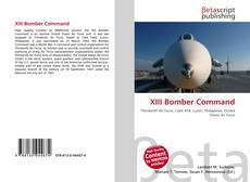 Buchcover von XIII Bomber Command