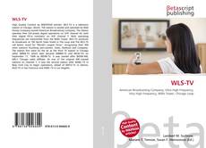 Capa do livro de WLS-TV 