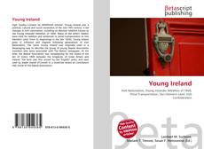 Capa do livro de Young Ireland 