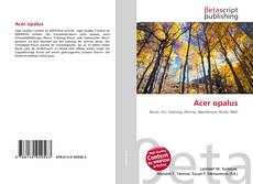 Copertina di Acer opalus