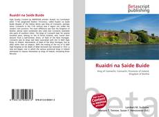 Capa do livro de Ruaidrí na Saide Buide 