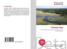 Capa do livro de Voisey's Bay 