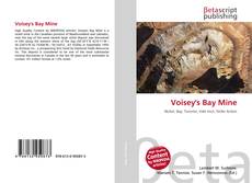 Copertina di Voisey's Bay Mine