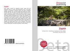 Capa do livro de Zaptié 