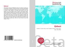 Capa do livro de Qidwai 