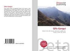 Copertina di Qifu Gangui
