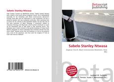 Capa do livro de Sabelo Stanley Ntwasa 