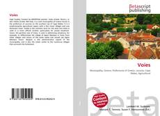 Copertina di Voies