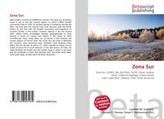 Capa do livro de Zona Sur 