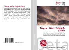 Buchcover von Tropical Storm Gabrielle (2007)