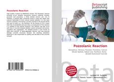 Copertina di Pozzolanic Reaction