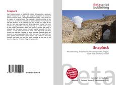 Capa do livro de Snaplock 