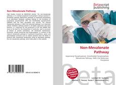 Capa do livro de Non-Mevalonate Pathway 