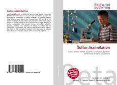 Buchcover von Sulfur Assimilation