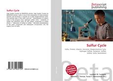 Capa do livro de Sulfur Cycle 