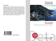 Portada del libro de Accumoli