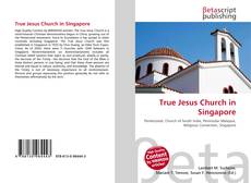 Buchcover von True Jesus Church in Singapore