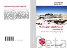 Buchcover von Wellington-Washington Avalanche