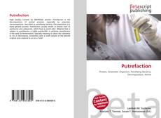 Buchcover von Putrefaction