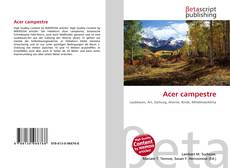Buchcover von Acer campestre