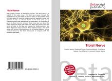 Buchcover von Tibial Nerve