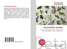 Portada del libro de Accoromba tricolor