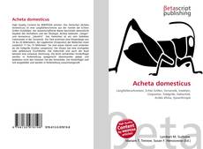 Acheta domesticus的封面