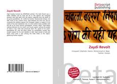 Copertina di Zaydi Revolt