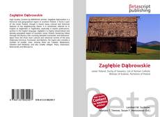 Copertina di Zagłębie Dąbrowskie