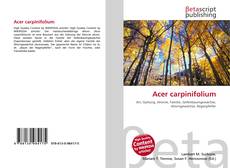 Couverture de Acer carpinifolium